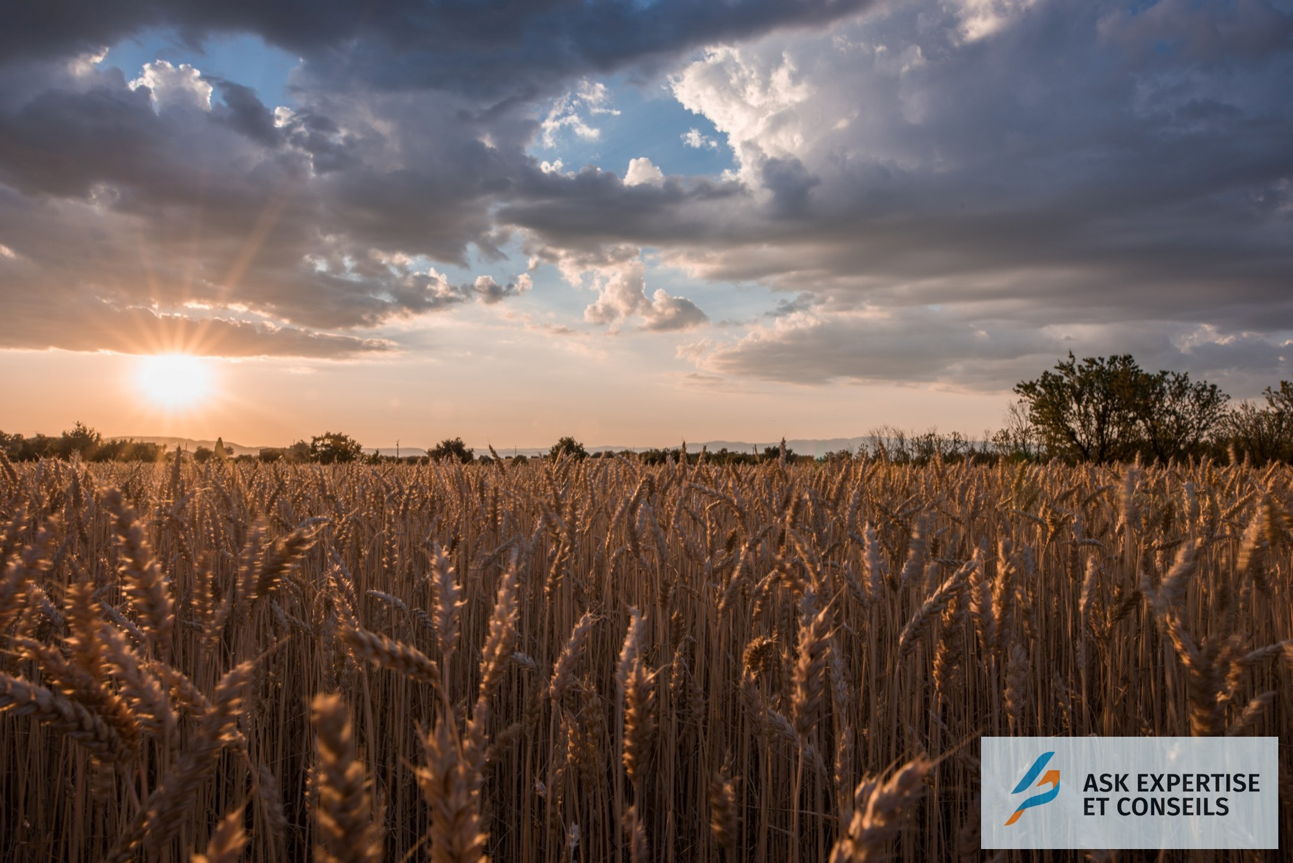 ask-expertise-comptable-champ